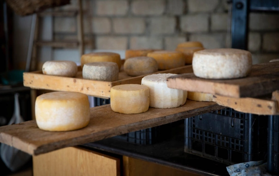 Ita56a Dairy production of pecorino and ricotta Italy
