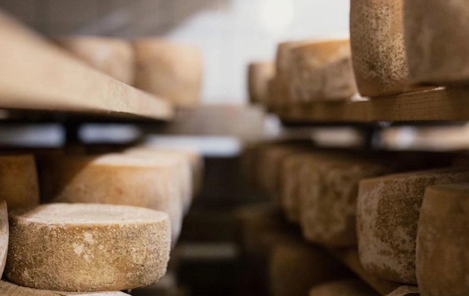 Cheese3