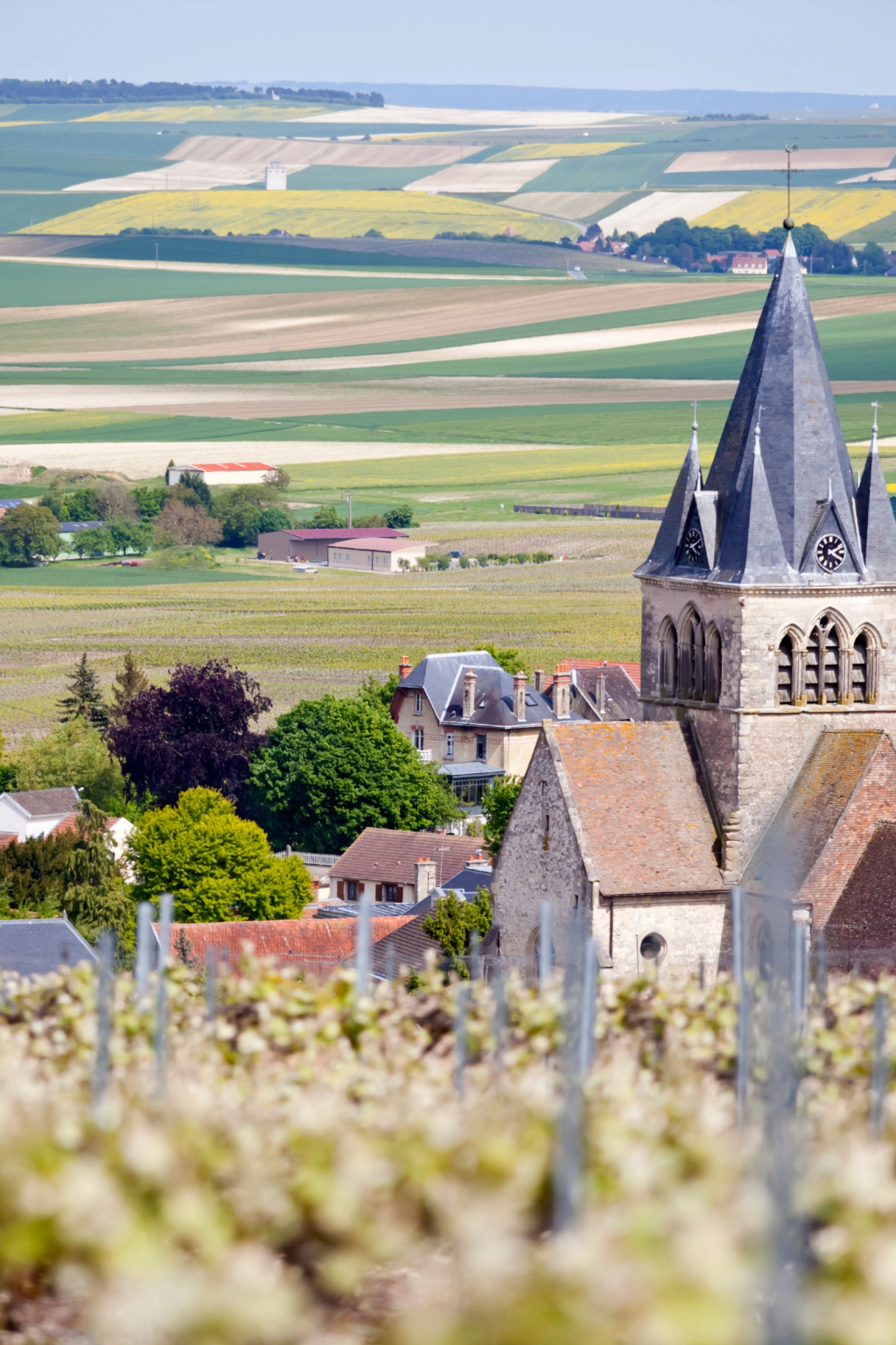 Vineyards near a historic church in the heart of Champagne, framed by softly rolling fields and elegant countryside, iconic of the region’s sparkling wine roots.