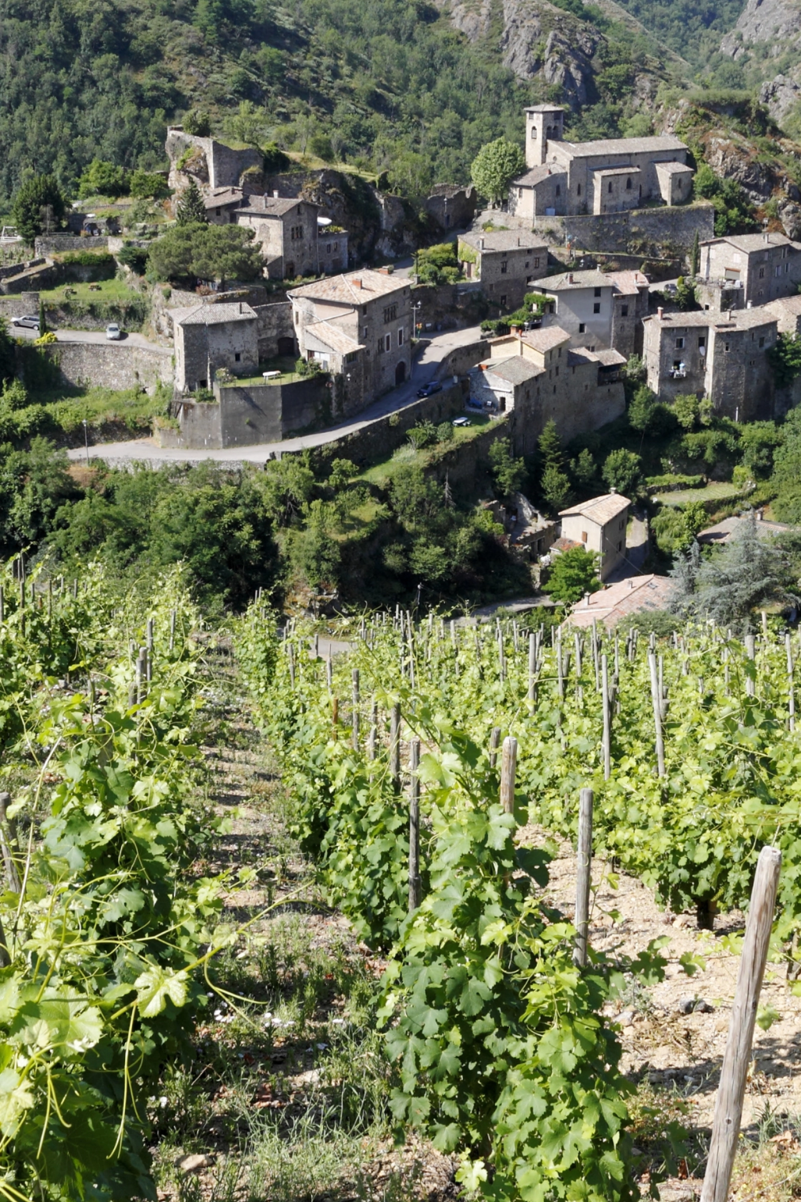 Steep vineyard terraces descending into a medieval village in the Southern Rhône, representing the rugged beauty and full-bodied wines of the region.
