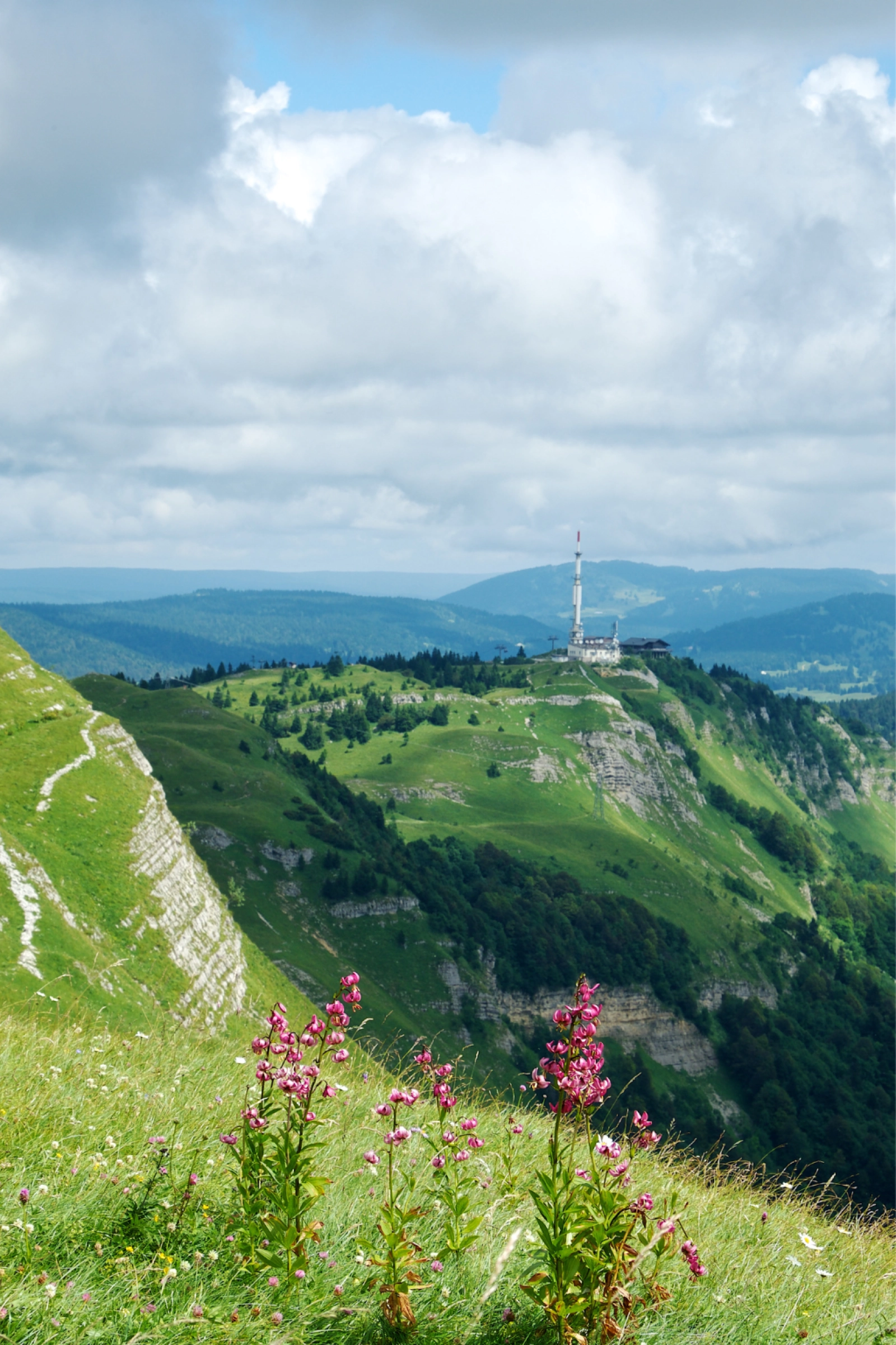 Wild pink mountain lilies bloom on the slopes of the Jura Mountains, with rolling ridges and a communications tower in the distance—reflecting Jura’s alpine spirit and off-the-beaten-path allure.