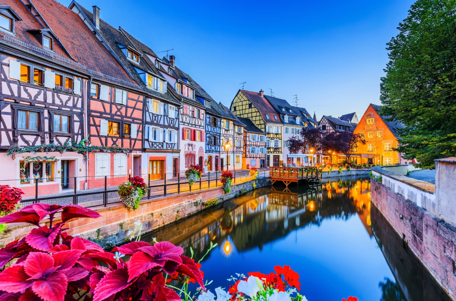 Colorful half-timbered houses line a quiet canal in Alsace at dusk, framed by vibrant spring flowers—capturing the charm and renewal of the wine region in bloom.
