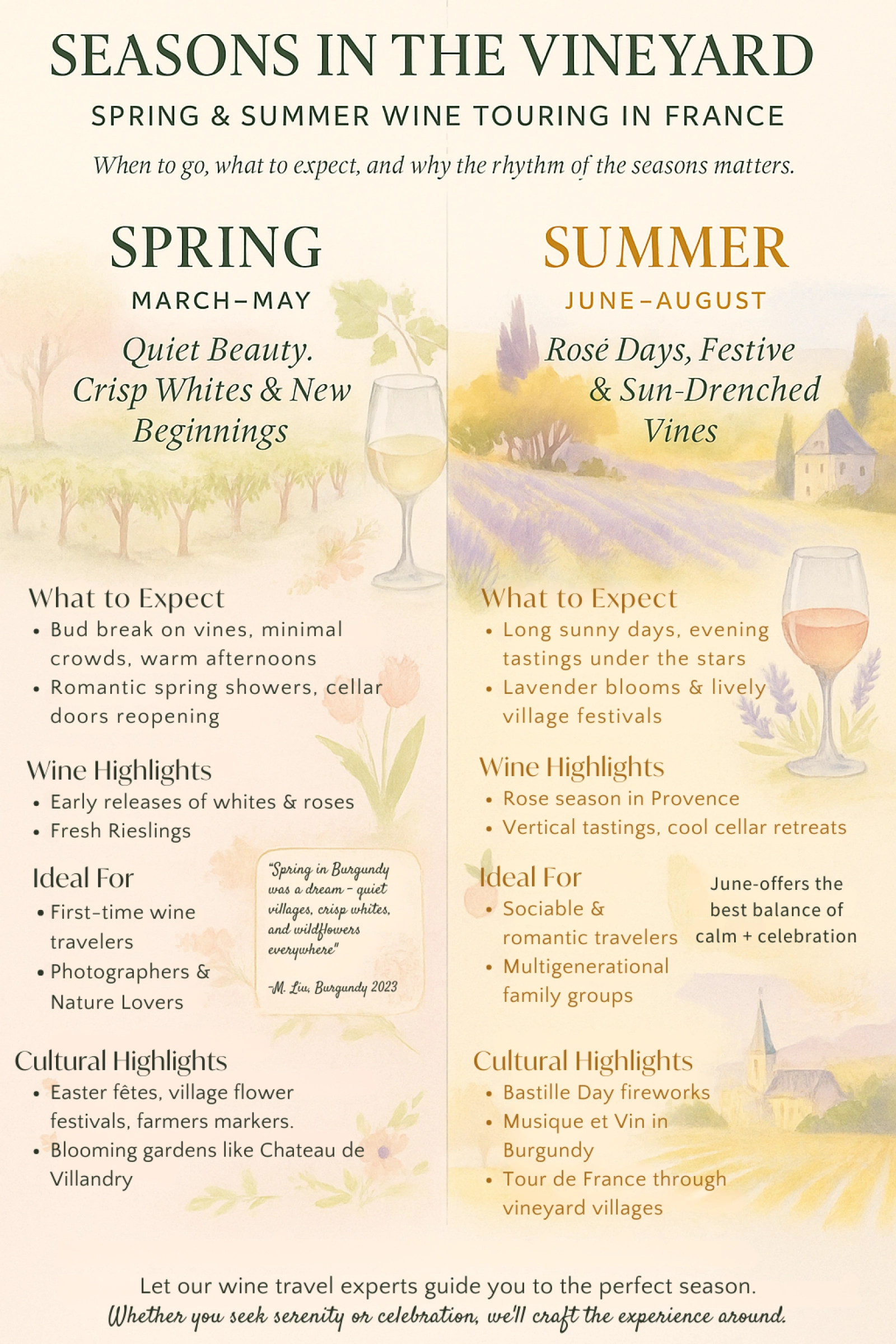 Infographic contrasting spring and summer wine travel in France, highlighting seasonal wine, cultural events, and ideal traveler styles in a soft, illustrated vineyard setting.