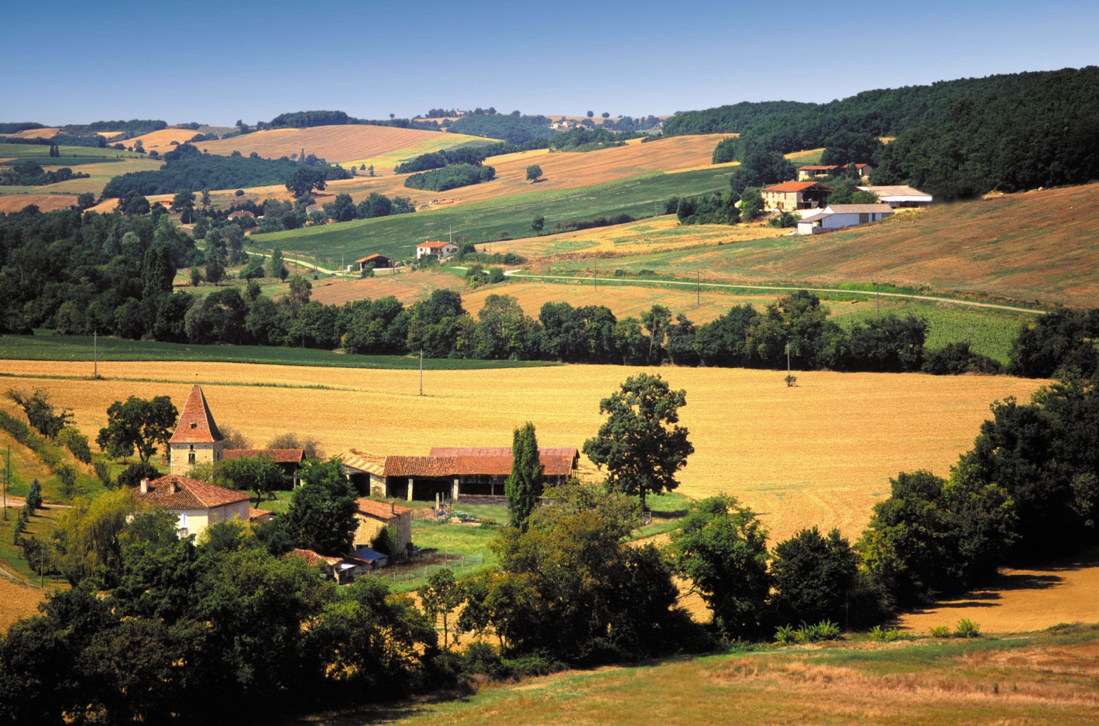 Pastoral landscape of rolling hills, sunflower fields, and traditional farmhouses in Gascony – a hidden gem in southwestern France known for culinary heritage and timeless charm.