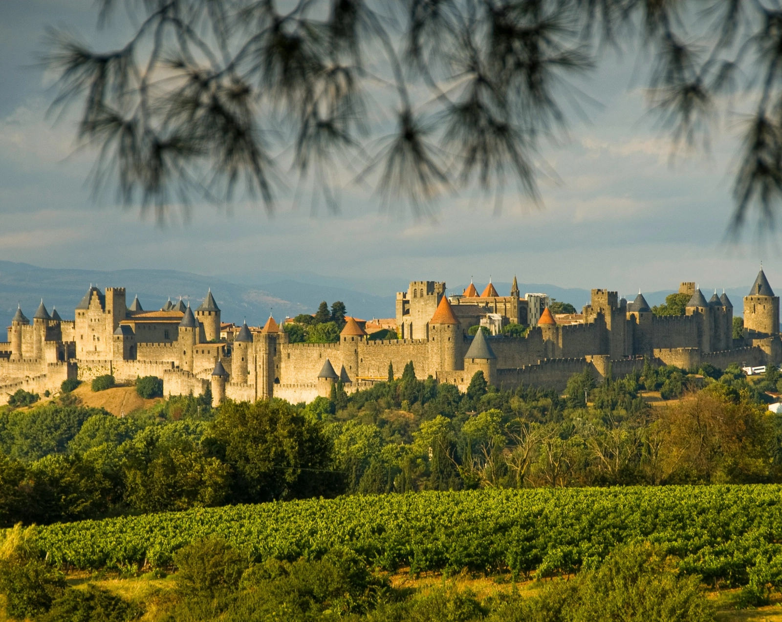 Fairytale view of Carcassonne’s citadel framed by pine trees – a UNESCO site rich with medieval history, perfectly paired with Languedoc wines.