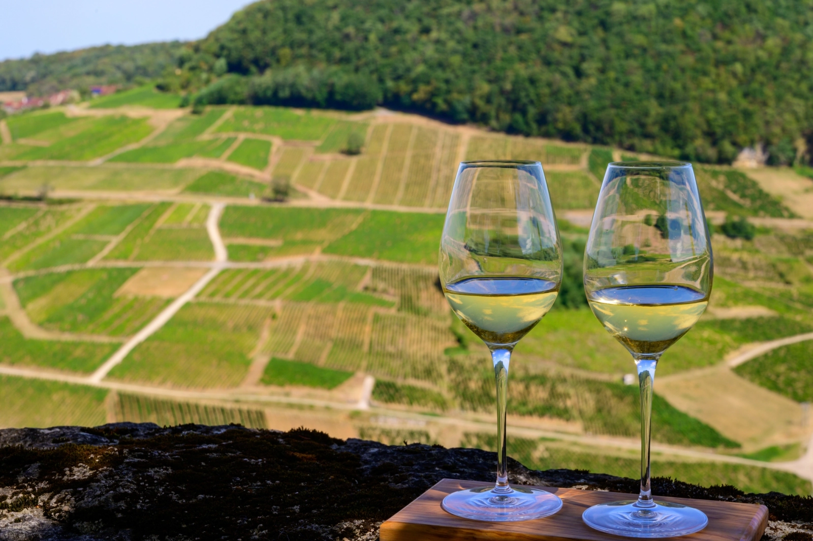 Two glasses of white wine overlooking the terraced vineyards of the Jura region in eastern France – ideal for immersive wine travel focused on rare varietals like Savagnin and vin jaune.