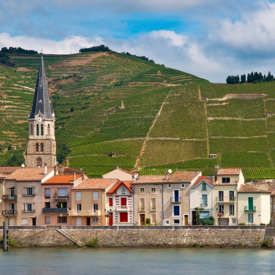 Vineyards in the cote du rhone rhone wine region france
